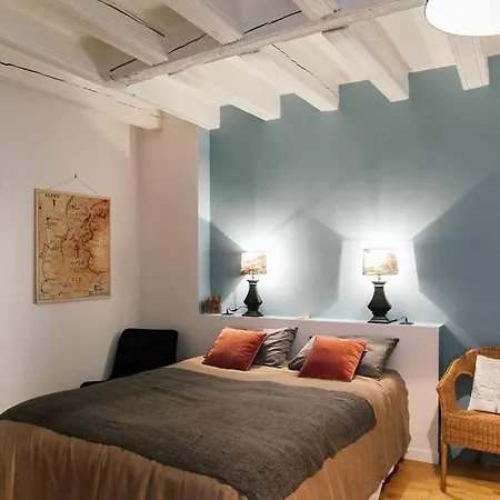 Apartament Le Saint-paul Du Vieux-lyon - Parking Inclus Ail